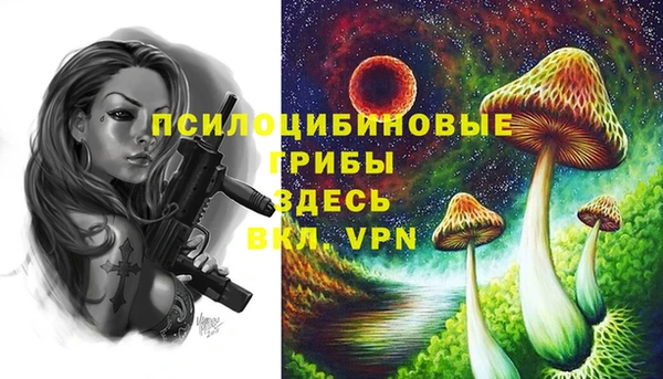альфа пвп Осташков