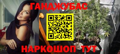 прущие грибы Апшеронск