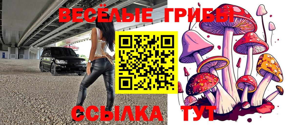 Псилоцибиновые грибы Psilocybe  Галлюциногенные грибы ЛСД  Приморско-Ахтарск 